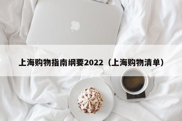 上海购物指南纲要2022（上海购物清单）