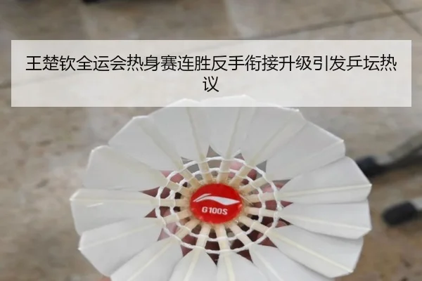 王楚钦全运会热身赛连胜反手衔接升级引发乒坛热议